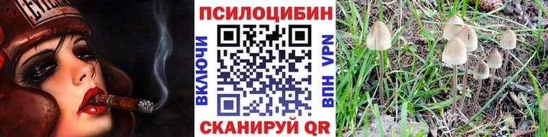 Псилоцибиновые грибы прущие грибы  как найти   Щёкино 